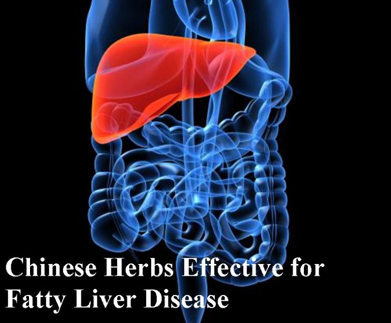 NonAlcoholic Fatty Liver Treatment with Chinese Medicine TCM Houston